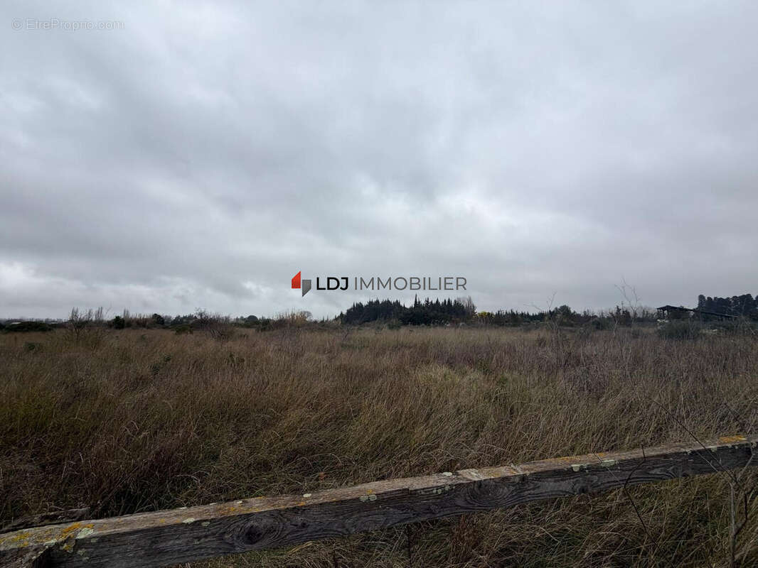 Terrain à SAINT-HIPPOLYTE