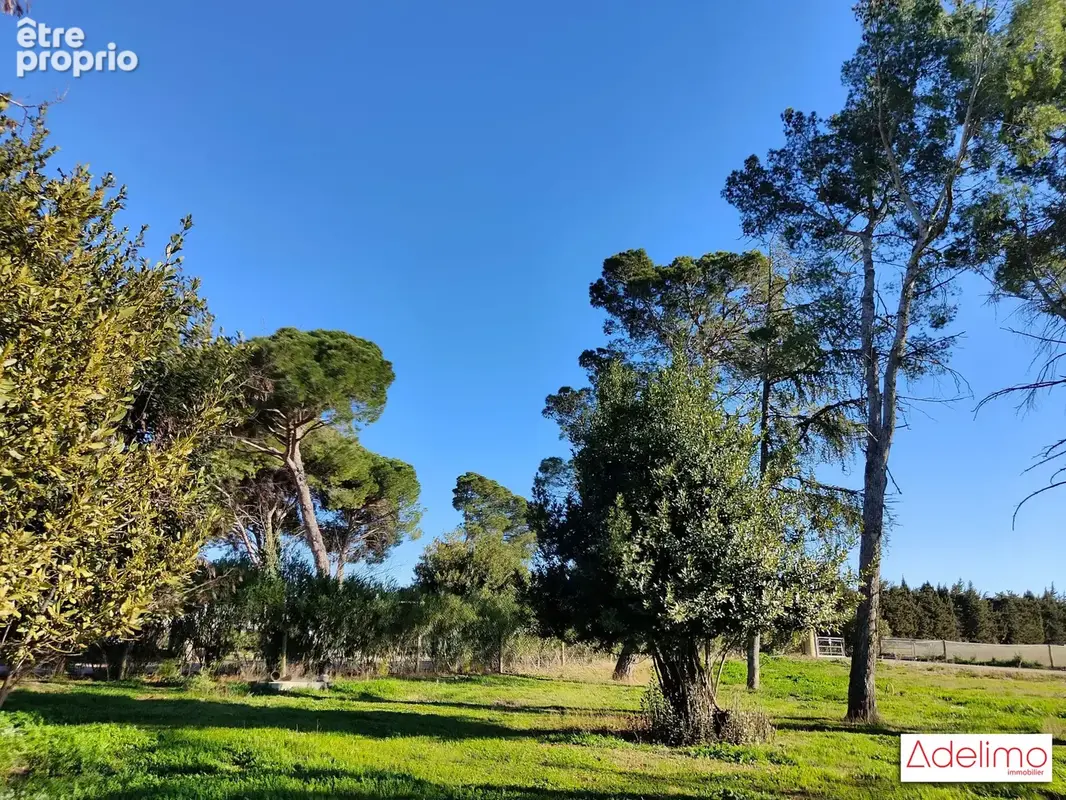 Maison 15 pièces 1 582 m² à vendre à Nimes (30900) - photo 6