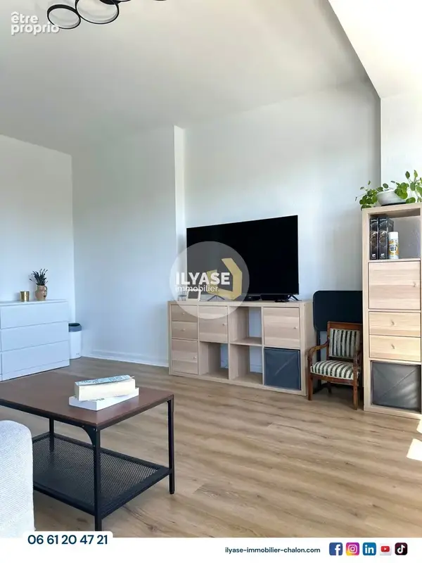 Appartement T2  58m2  Balcon  Cave  Quais de Saône - photo 10