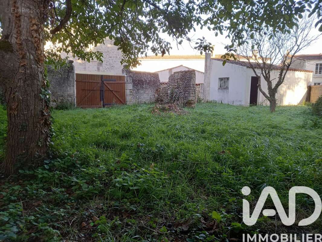 Photo 7 - Terrain à SAUJON