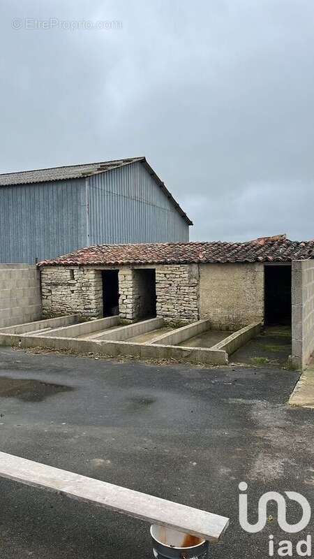 Photo 6 - Maison à SAINT-JEAN-DE-LIVERSAY