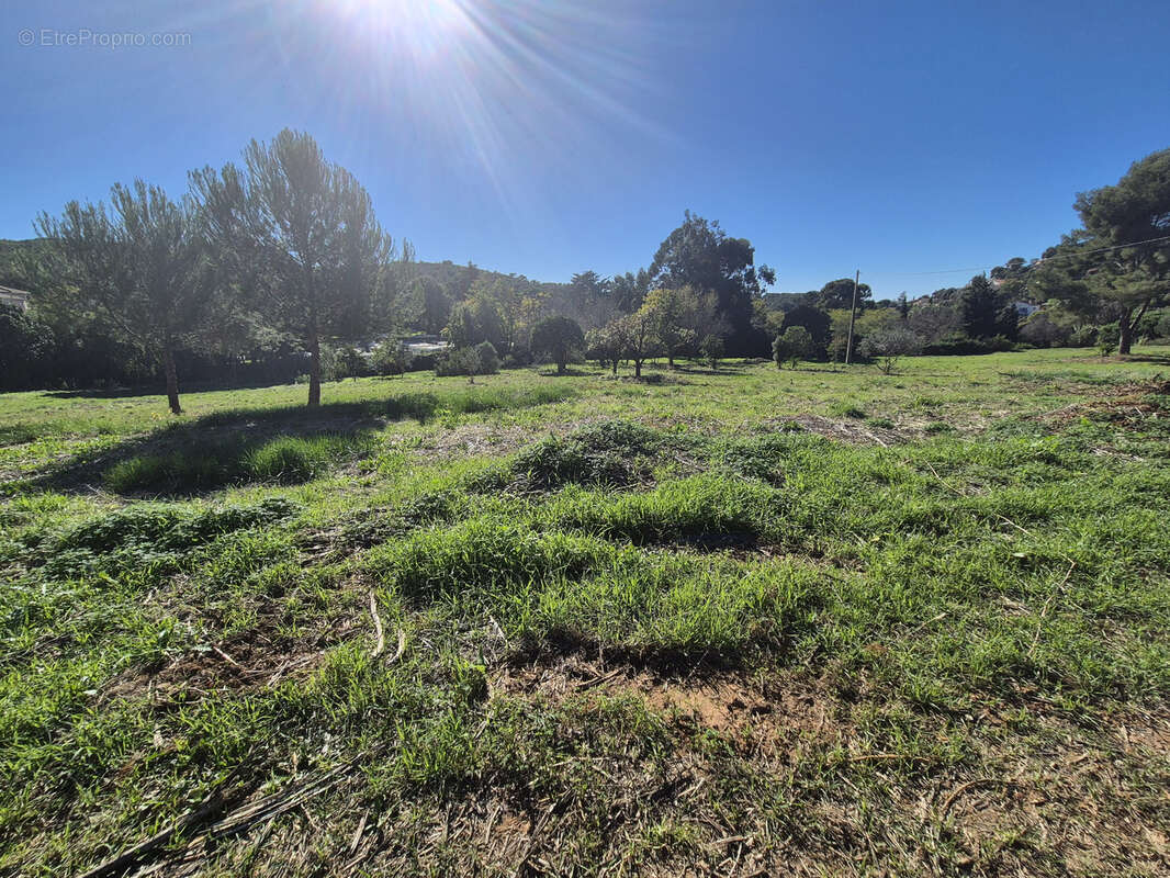 Terrain à LE PRADET