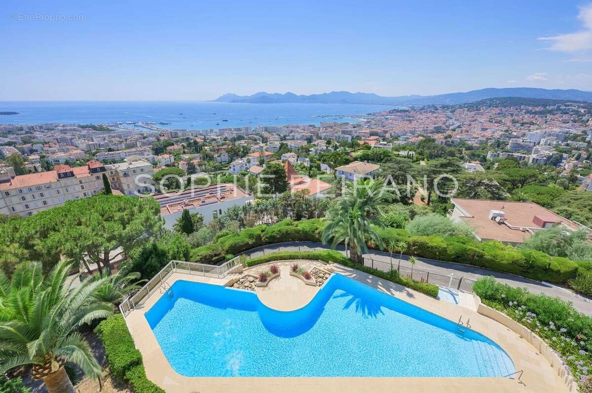 Cannes - sublime appartement dernier étage - vue mer panoramique - photo 9