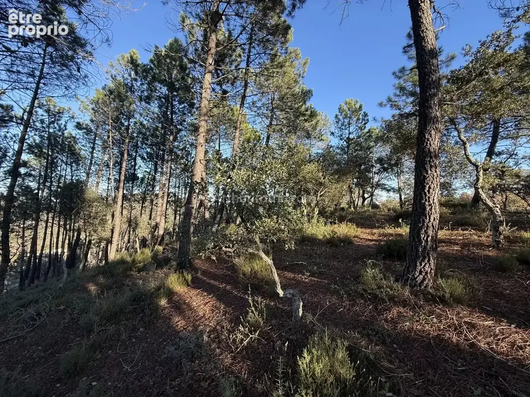 Vente Terrain Vidauban(83550) 130 000ï¿œ - photo 4