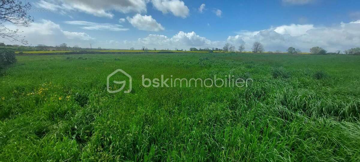 Terrain à bâtir de 4 100 m² - 4 LOGEMENTS minimum – Sainte-Ouenne (79) - photo 5