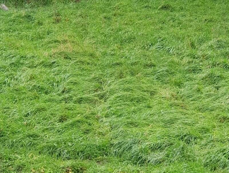 Terrain à MIRECOURT