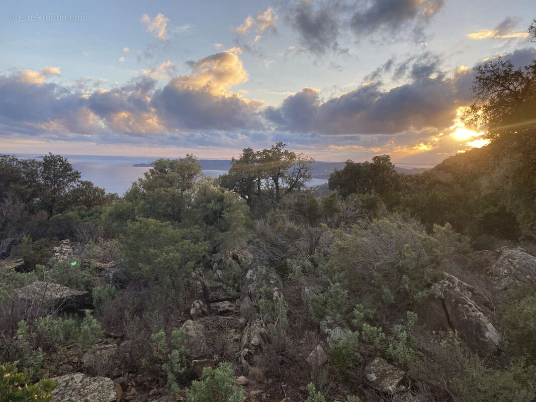 Terrain à LE LAVANDOU
