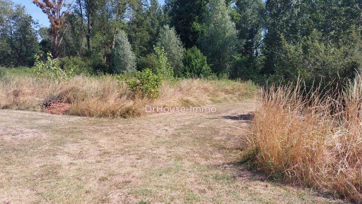 Terrain 1300 m² à Vendoeuvres  - photo 3