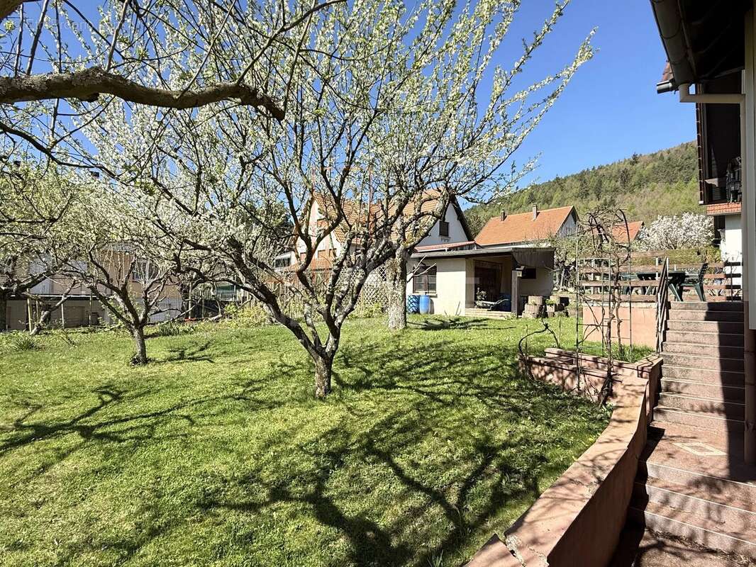 Maison à NIEDERBRONN-LES-BAINS