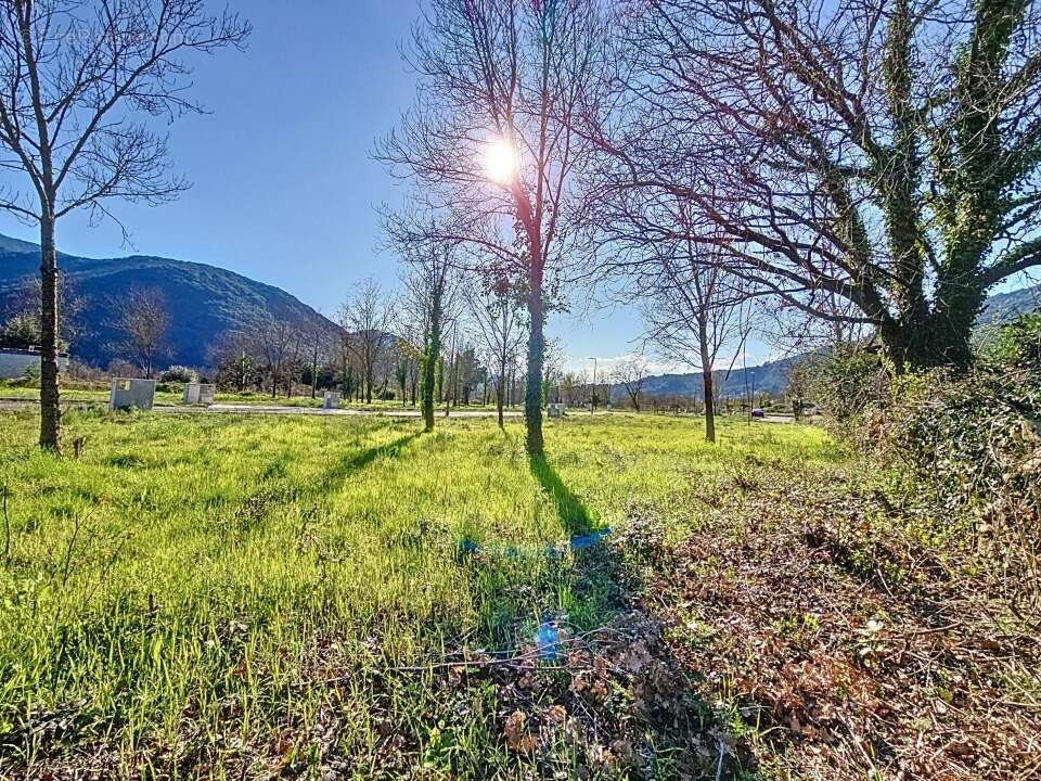 Terrain à COLOMBIERES-SUR-ORB