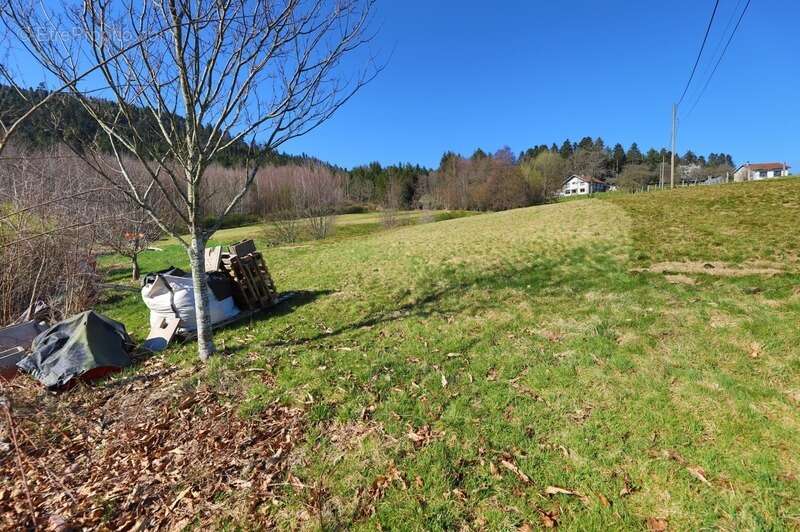 Maison à LA CHAPELLE-DEVANT-BRUYERES