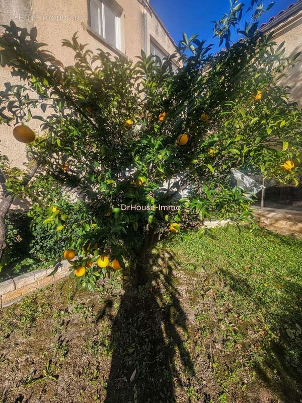 Maison à MARSEILLE-9E