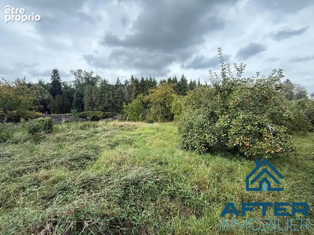 Terrain 1 541 m² à vendre à Gerbeviller (54830) - photo 2