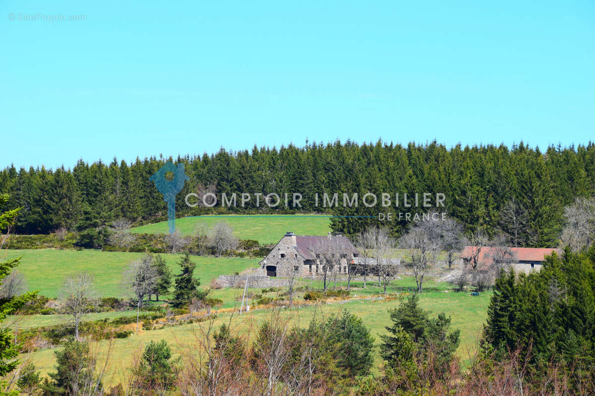 Dépt.(07) - A VENDRE Secteur Le LAC D'ISSARLES - Propriété de 56 ha avec Maison de 270 m2 et Ferme de 340 m2 - photo 6