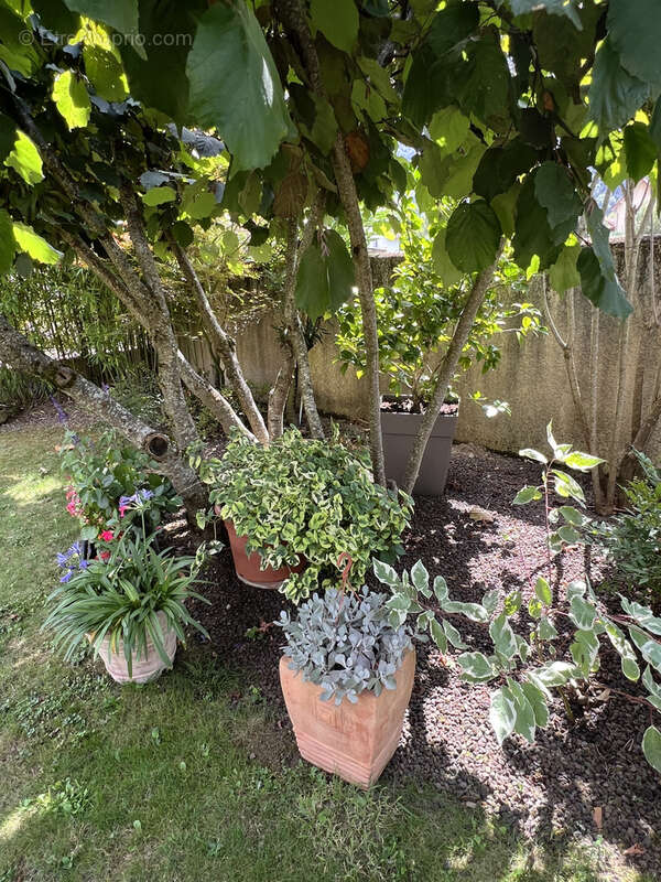 Maison à TARASCON-SUR-ARIEGE