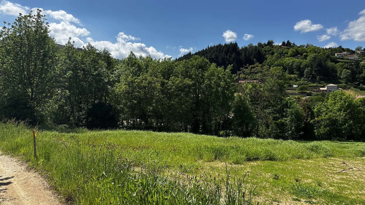 Terrain à DESAIGNES