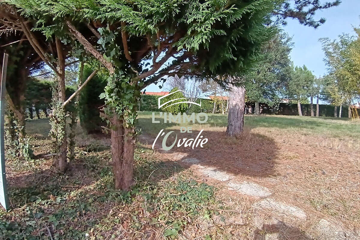 Terrain à SAINT-LOUP-CAMMAS