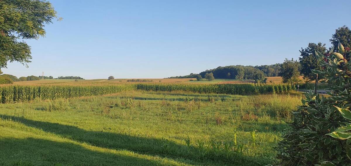 Terrain à RANTZWILLER