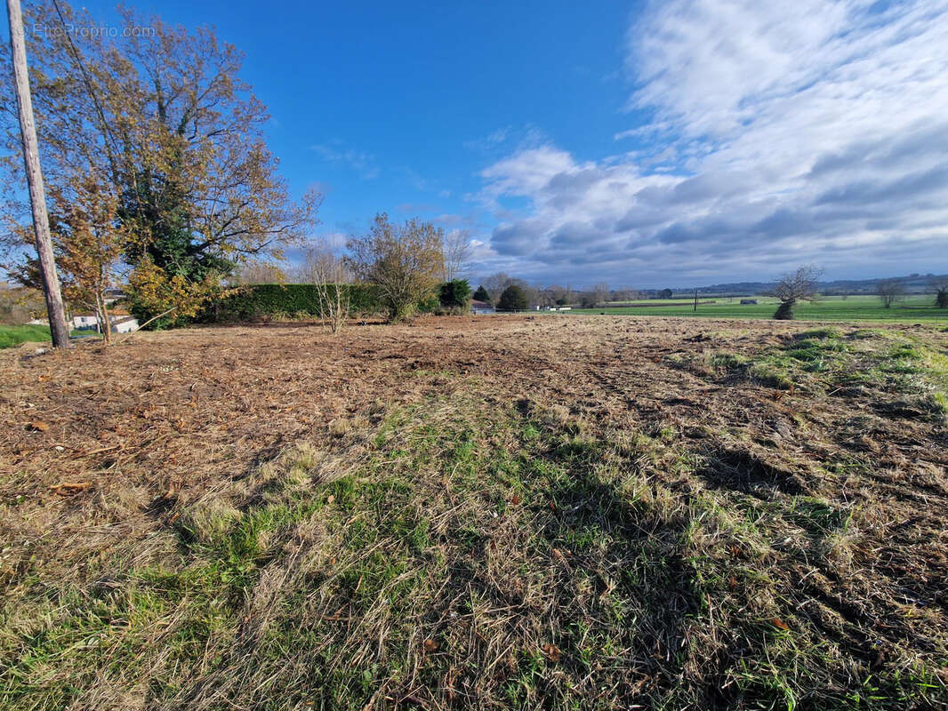 Terrain à SAINT-CIERS-DU-TAILLON