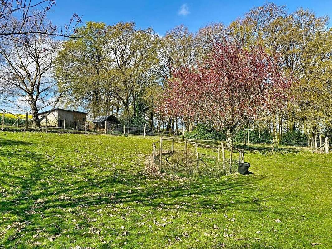 Photo 2 - Maison à PLUVIGNER