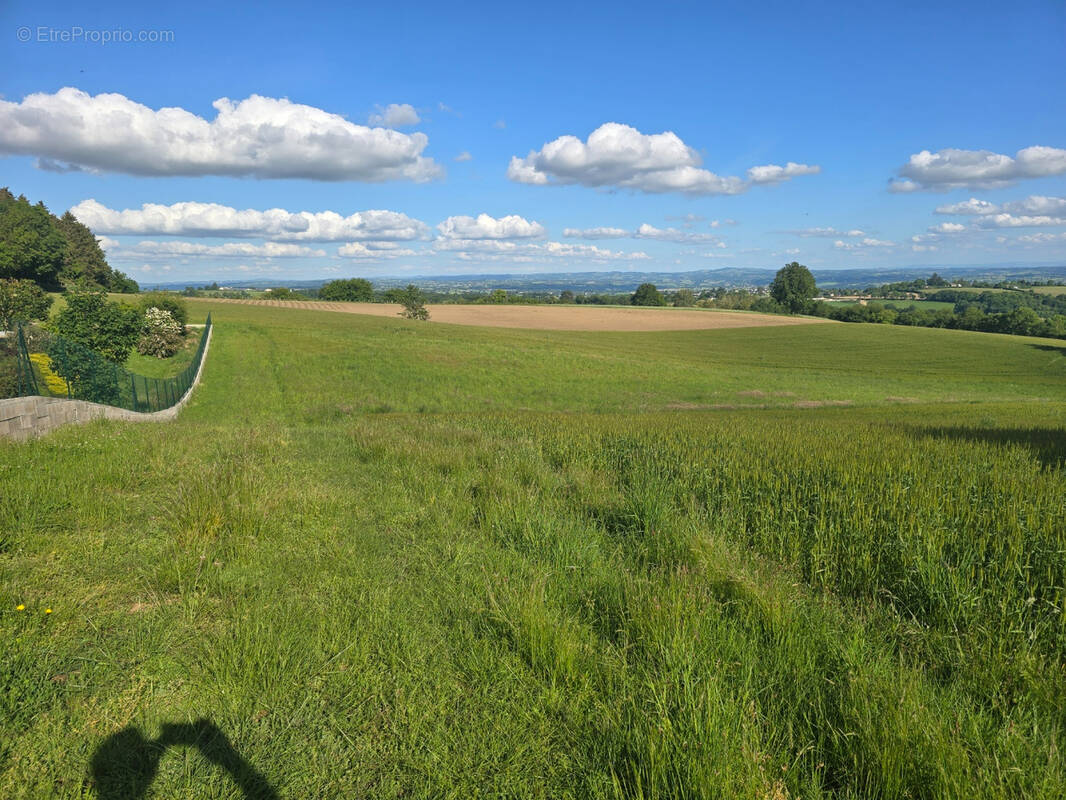 Terrain à BARAQUEVILLE