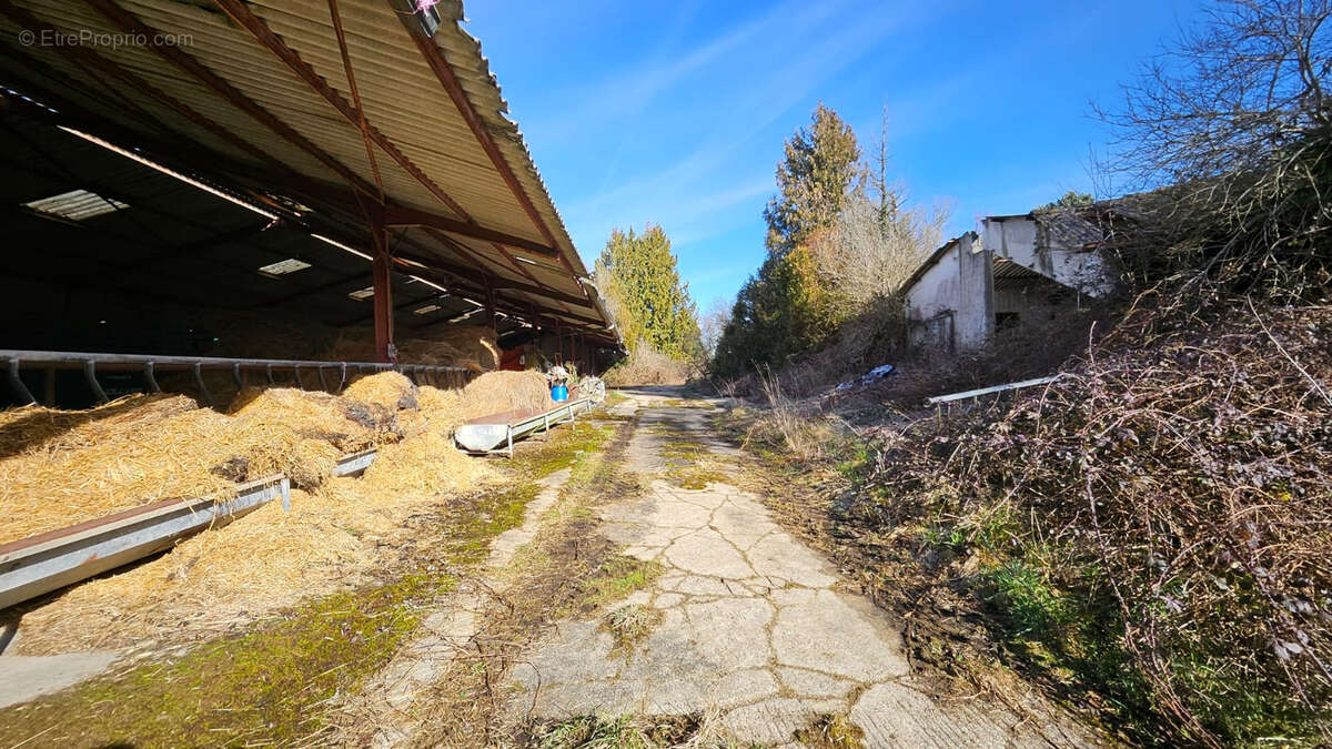 Terrain à LE CHALARD