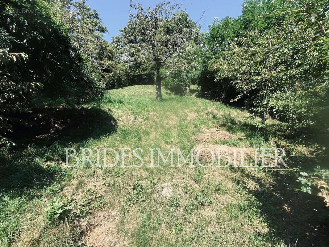 Terrain à BRIDES-LES-BAINS