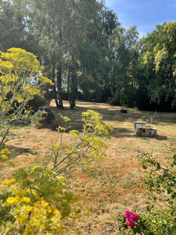 Maisons " chaumières" de 13 pièces - photo 5