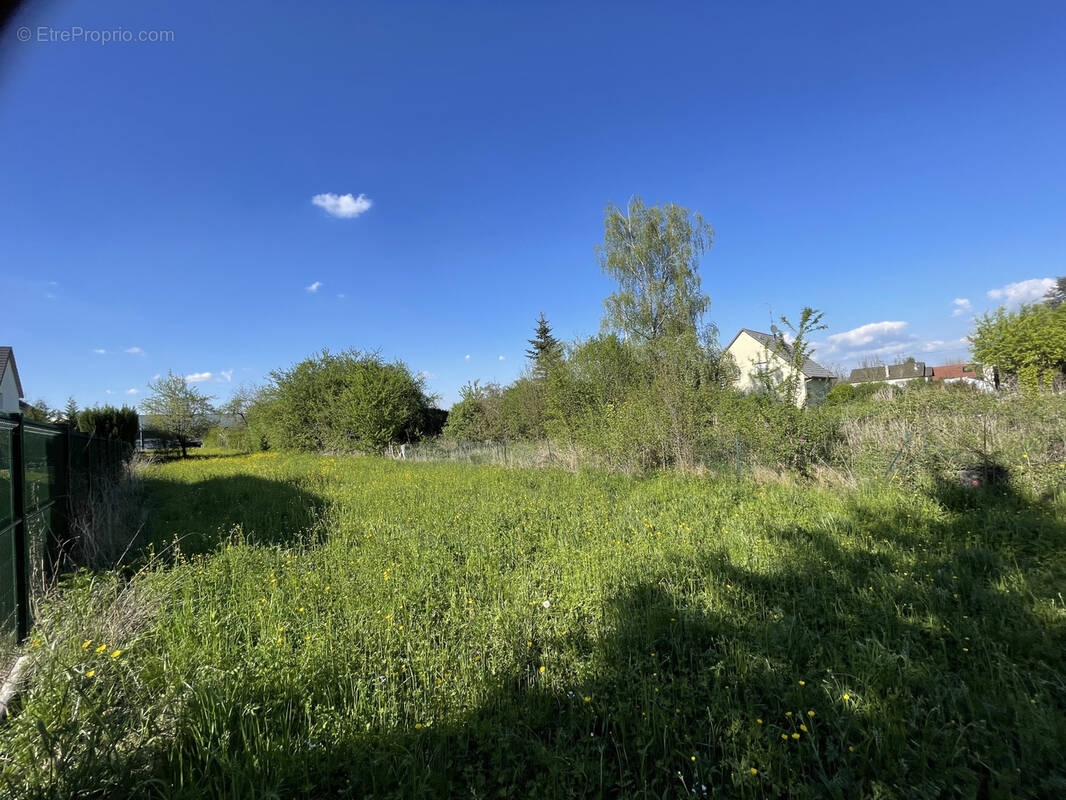 Terrain à HEGENHEIM