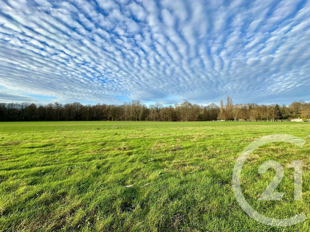 Terrain à LESCHES