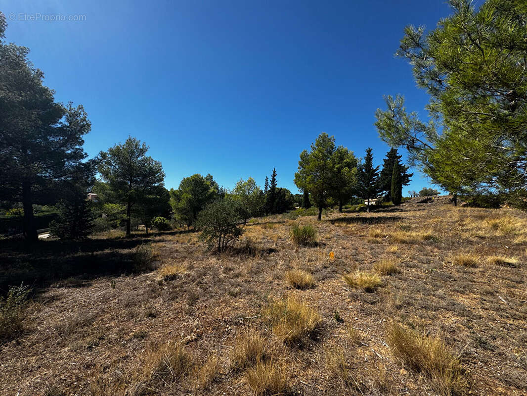 Terrain à LEZIGNAN-CORBIERES