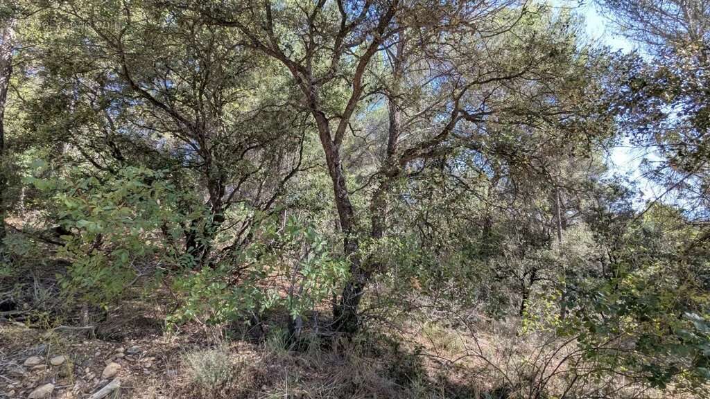 BRUNET - Terrain non constructible 14.570m² - photo 3