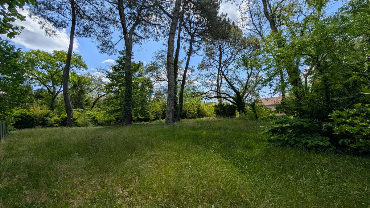 Terrain à MONT-DE-MARSAN