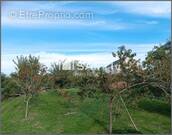 Photo 1 - Terrain à SAINT-JEAN-LE-BLANC