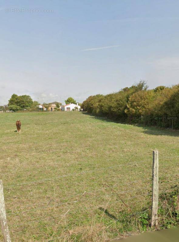 Terrain à SAINT-XANDRE