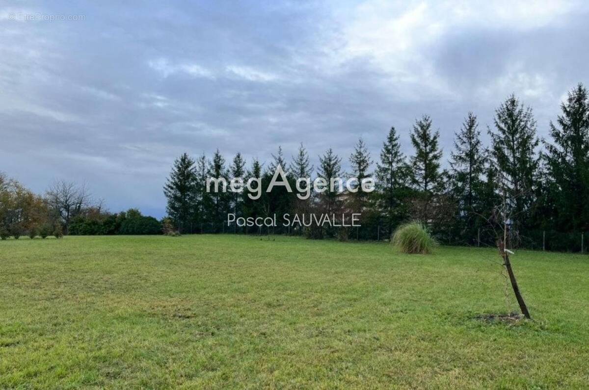 Terrain à SAINT-ASTIER