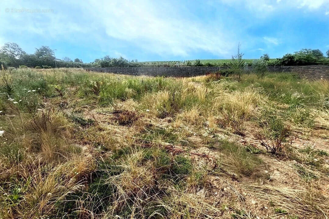 Terrain à KUTTOLSHEIM