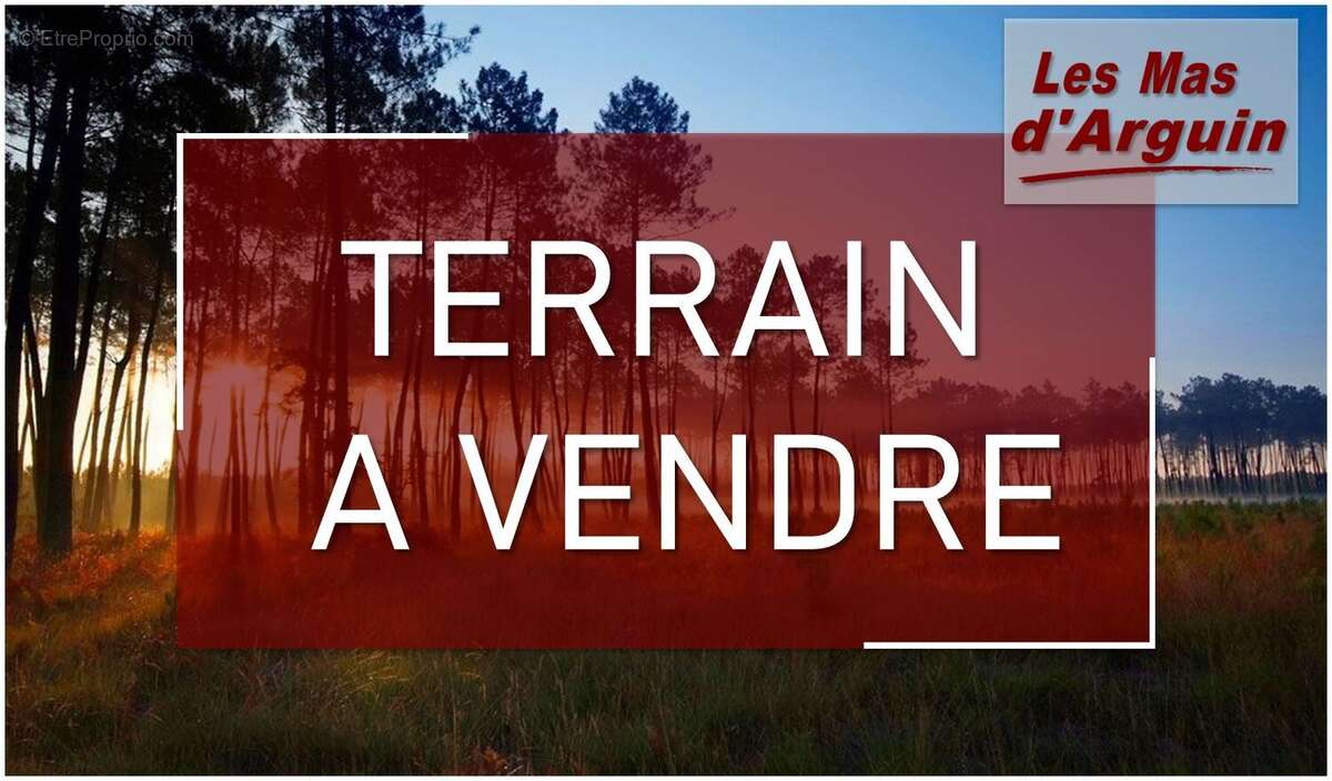 Terrain à LE PORGE