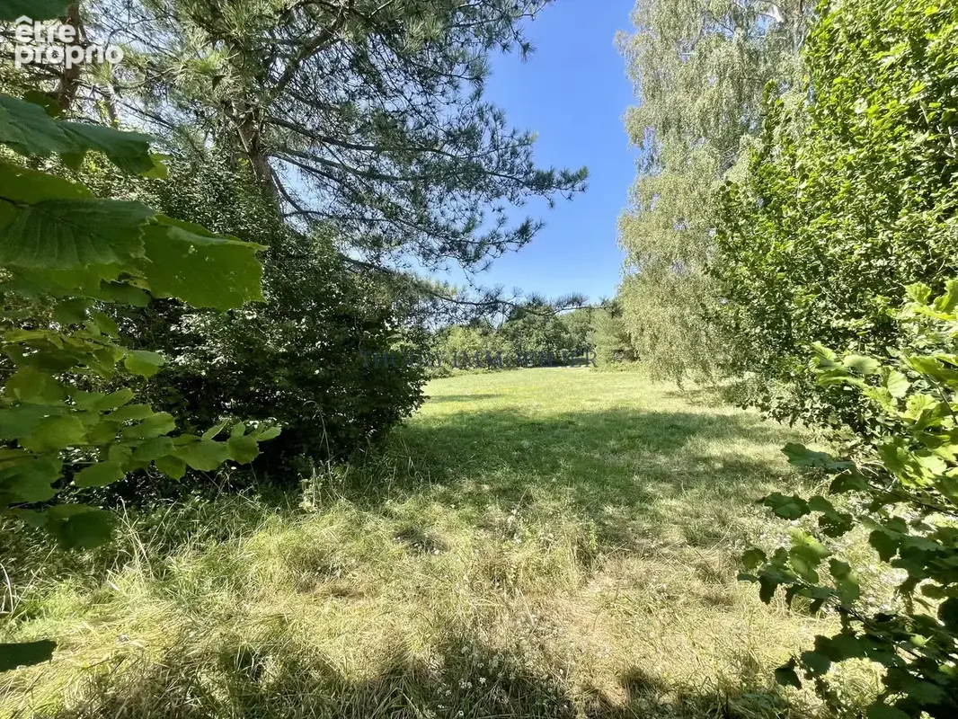 Propriété de charme 11 pièces sur 36 985 m2. - photo 34