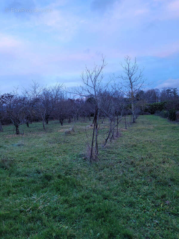 Terrain à LOUCHY-MONTFAND