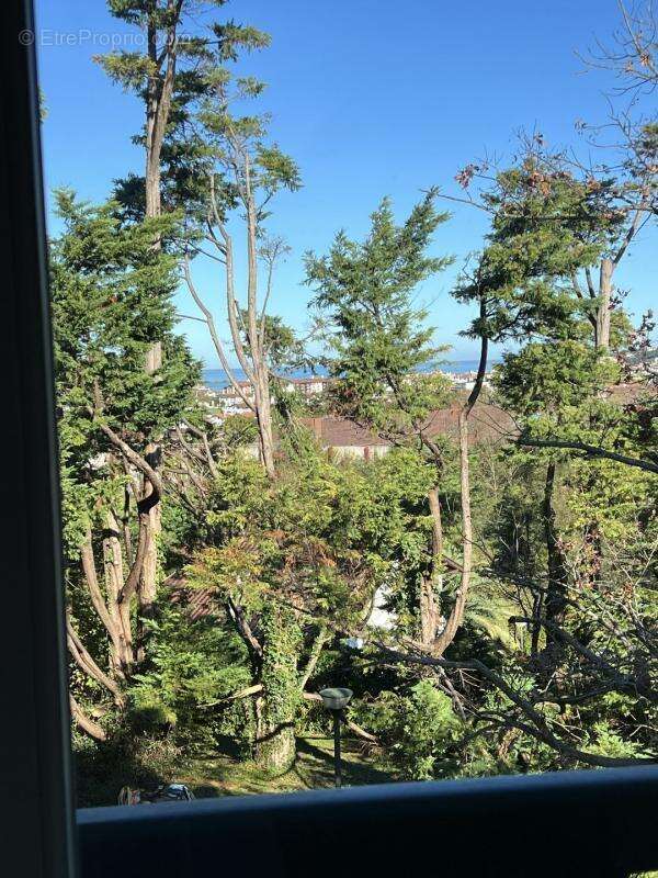 Appartement à CIBOURE