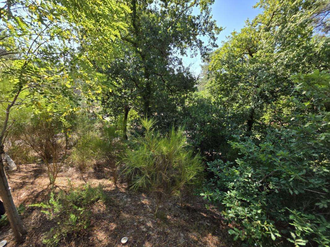 Maison 163 m² à Biscarrosse  - photo 19