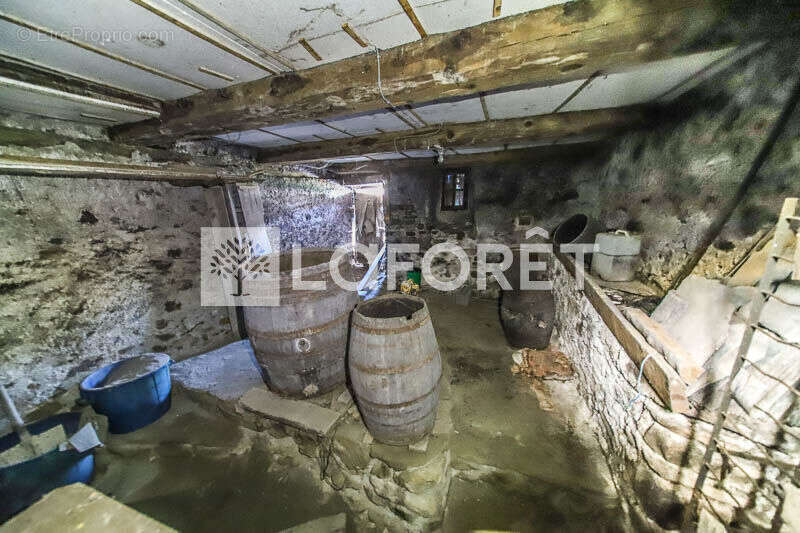 **cellier a réhabiliter - saint-andré-d'embrun - 3 pièces - photo 4
