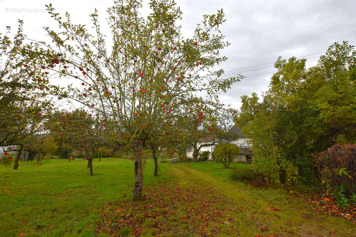 Maison à SAINT-MARTIN-D&#039;ESTREAUX