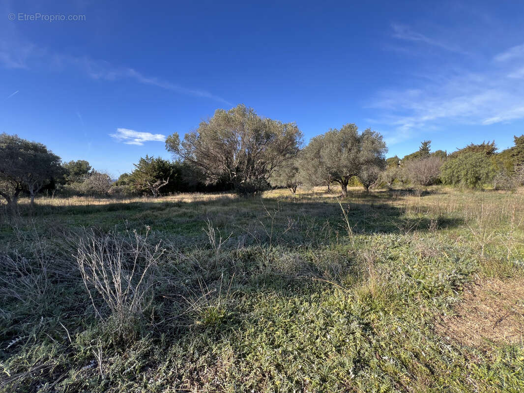 Terrain à SANARY-SUR-MER