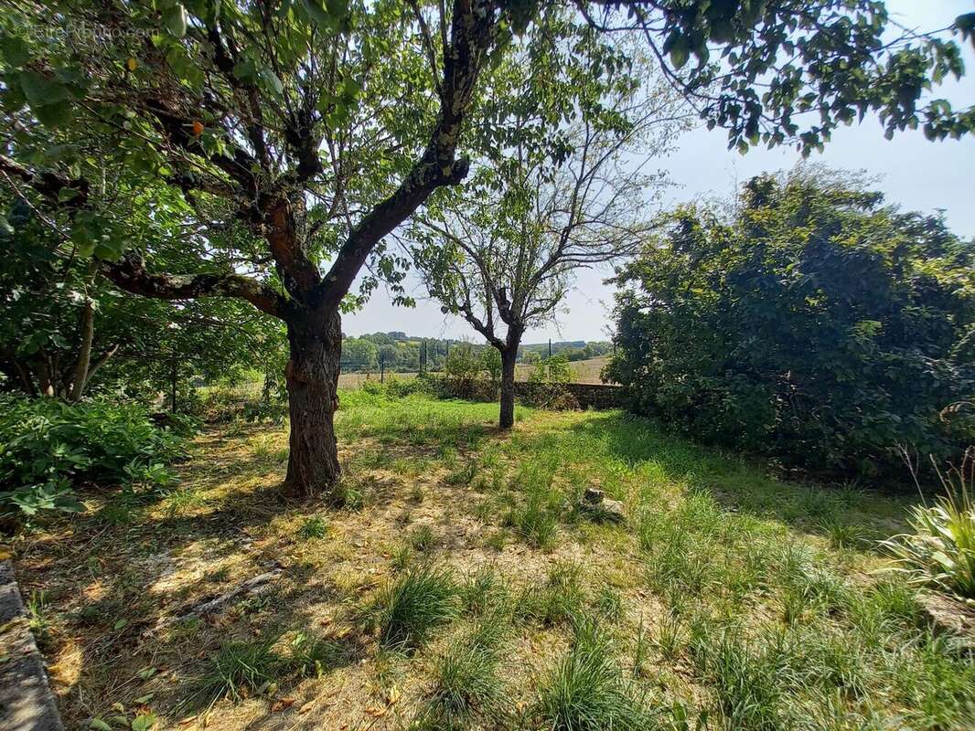 Maison à MONFLANQUIN