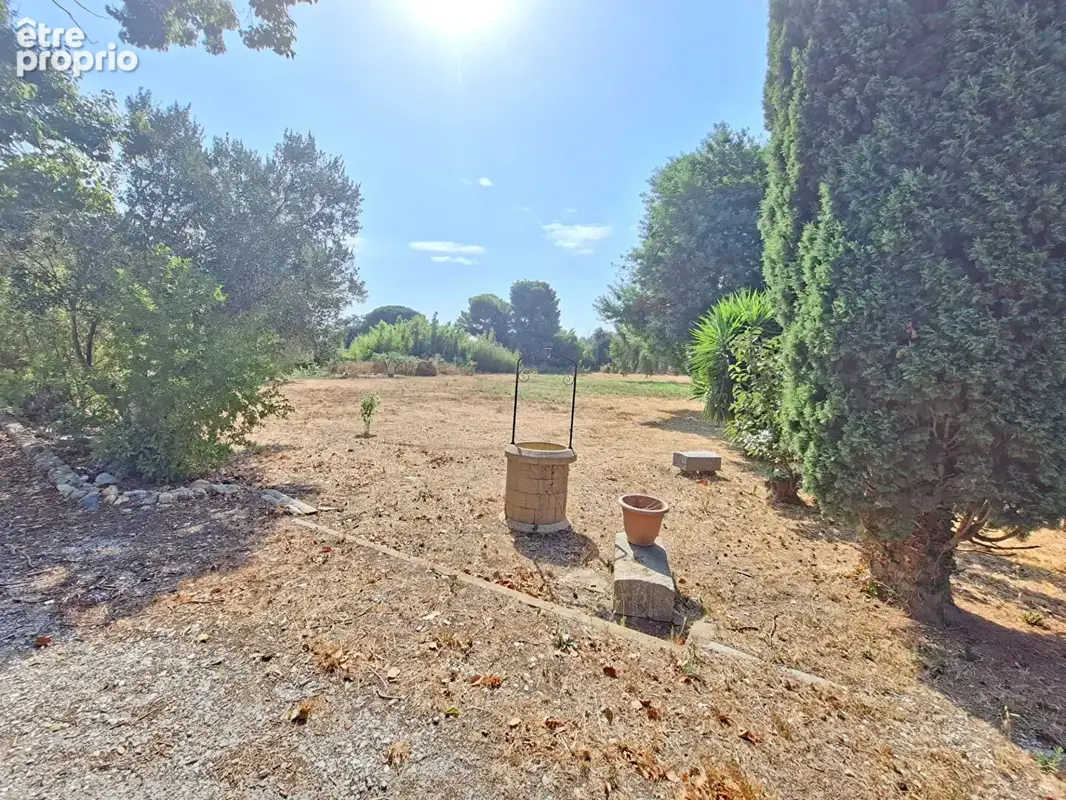 Perpigna Sud Est Maison de Type 4  de145m2 sur 6800m2 de terrain - photo 11