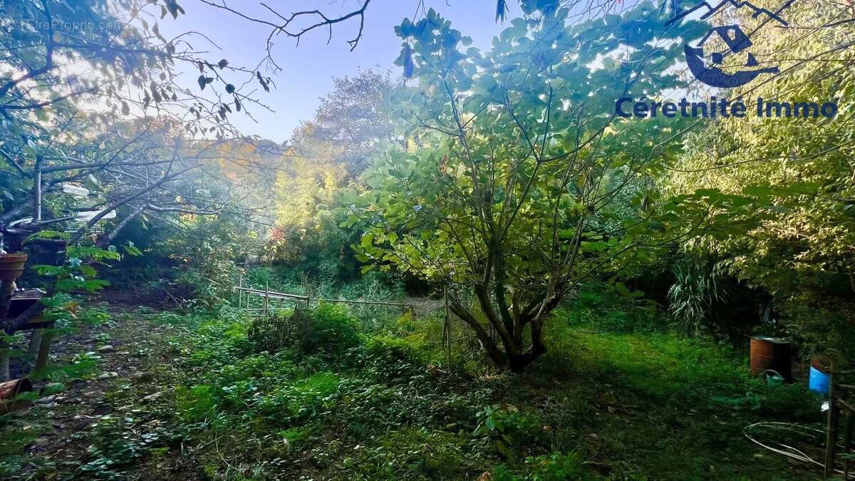 Appartement à AMELIE-LES-BAINS-PALALDA