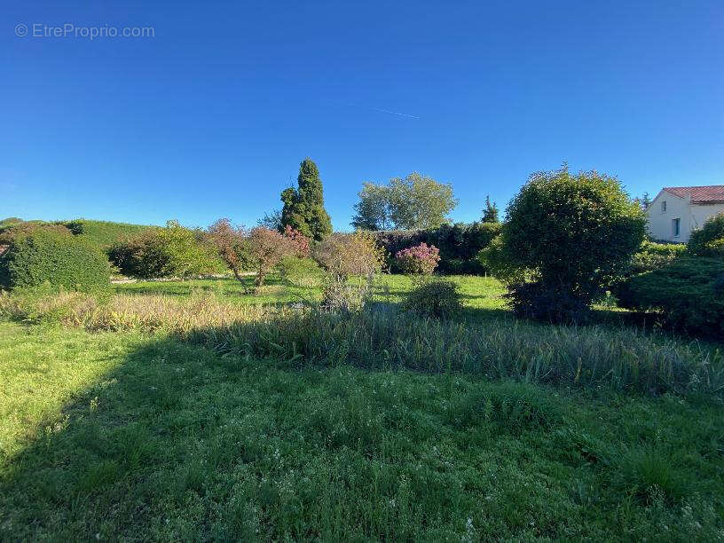 Terrain à PERNES-LES-FONTAINES