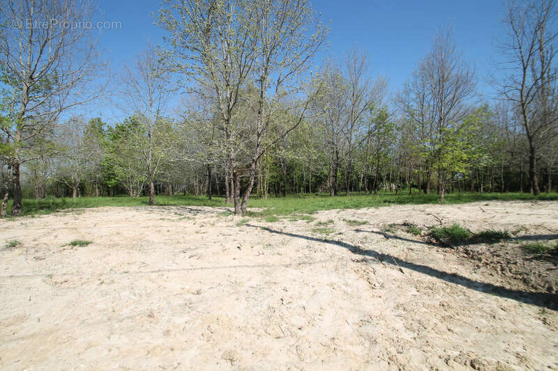 Terrain à CASTELJALOUX